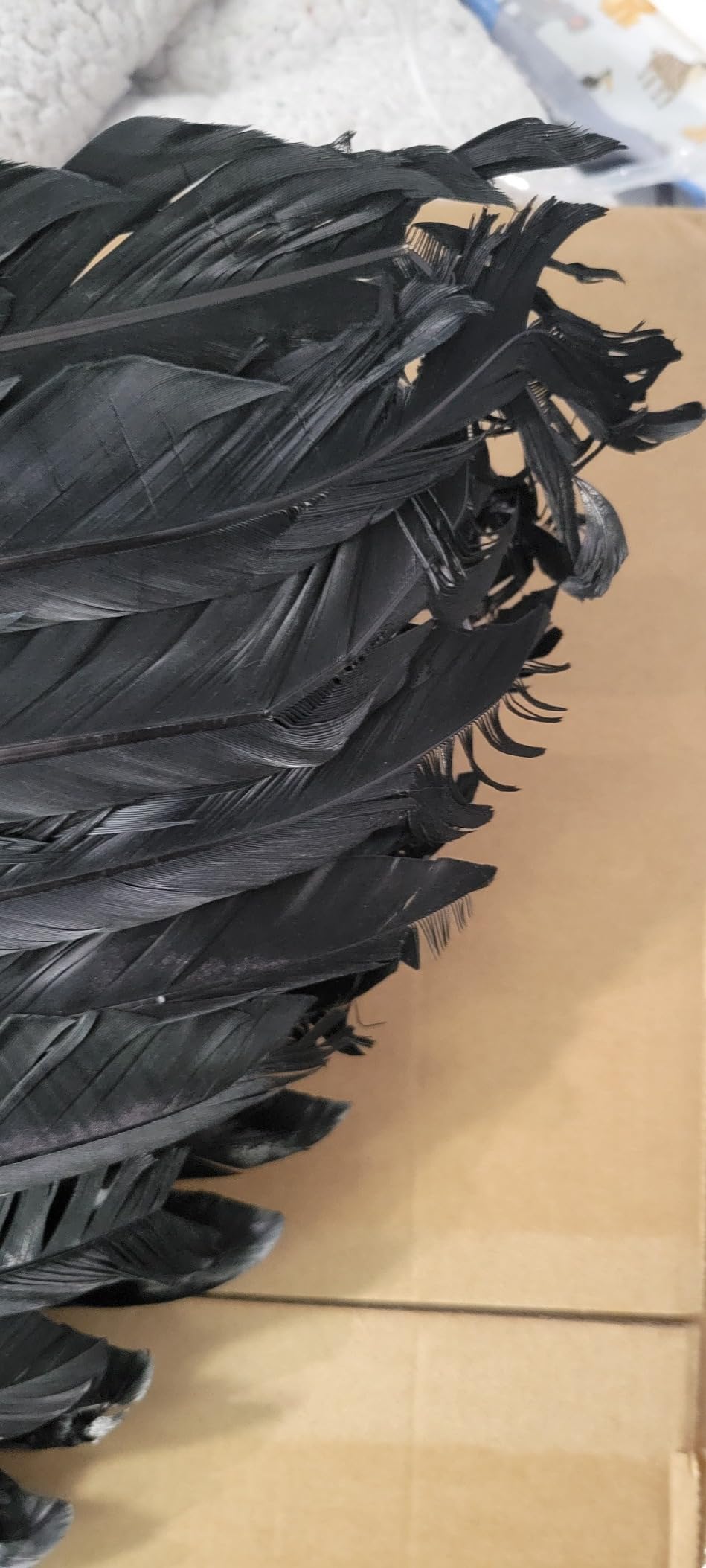 Touch of Nature Black Adult Angel