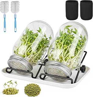 Ribborglas, set om 2, 750 ml grodd glas med lock och hållare och skålar | med skuggtygpåse och burkborste för grobarhet av Alfalfa, broccoli, Mungobönor med mera