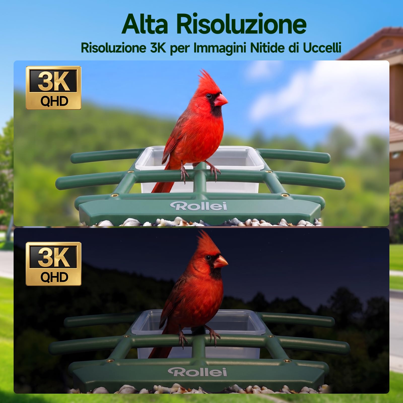Rollei Mangiatoia per Uccelli Intelligente con Telecamera 3K Smart Bird Feeder da Esterno con Pannello Solare AI Identificazione di 10000 Uccelli Visione Notturna a Colori Notifica Istantanea IP65