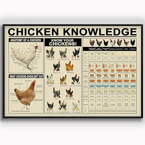 Pzecaru Cartel de metal con diseño de pollo Knowledge, póster de "Know Your Chickens", placa de metal vintage, decoración de pared, regalo para
