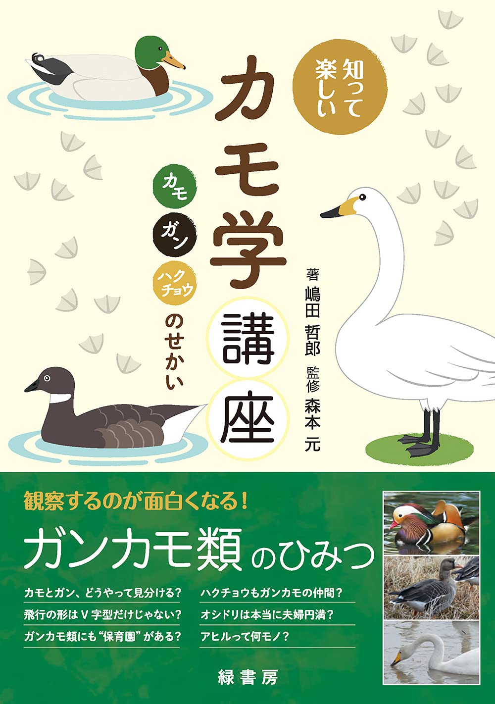 知って楽しいカモ学講座 カモ ガン ハクチョウのせかい 嶋田 哲郎 森本 元 本 通販 Amazon