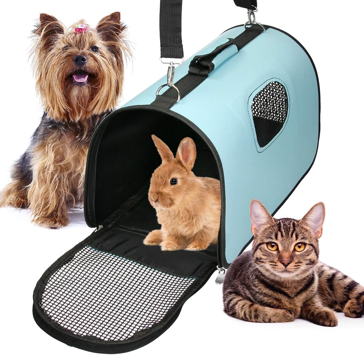 pet carrier olx