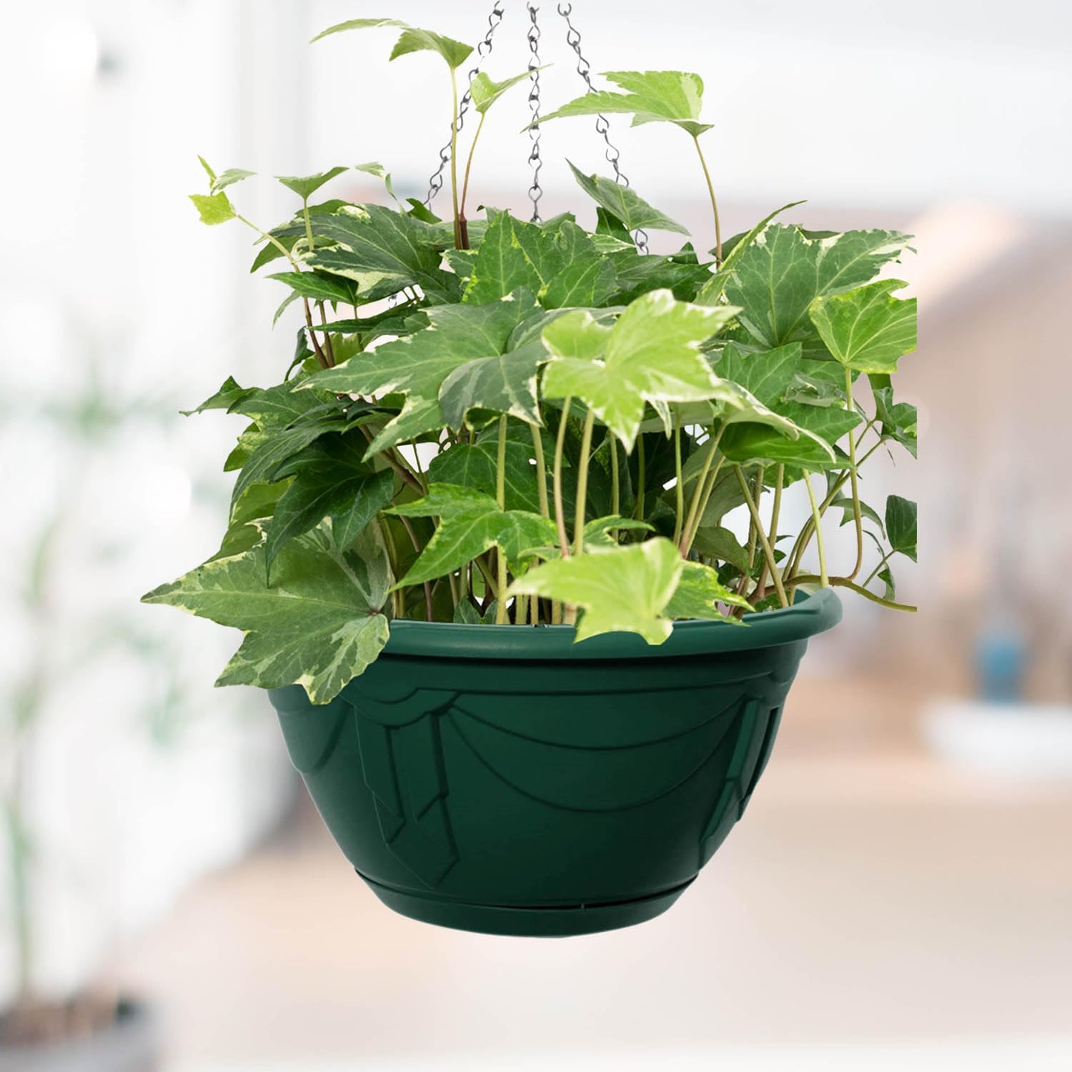 Whitefurze G020741 Venetian Hanging Basket, 32 cm, Forest Green