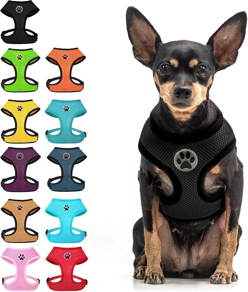 BINGPET Arnés para perros pequeños, chaleco para mascotas sin tirones, negro | Arneses para cachorros de malla de aire transpirable, suave y ligero, fácil de poner, ajustable para perros y gatos, caminar, correr, entrenar, pequeño