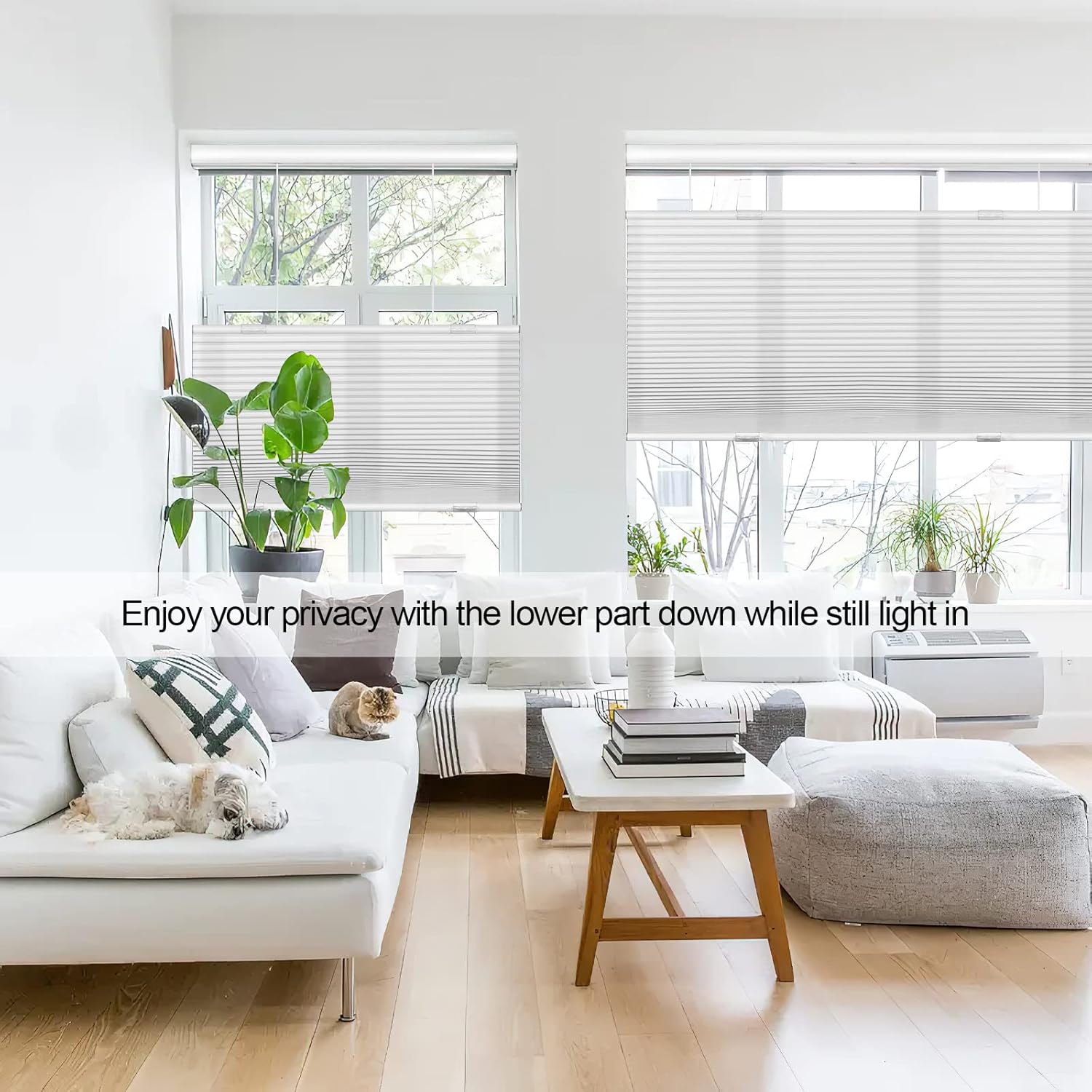 Cordless Top Down Bottom Up Cellular Shades Light Flitering Honeycomb Blinds for Windows, Thermal Insulated Single Cell Shades (White)