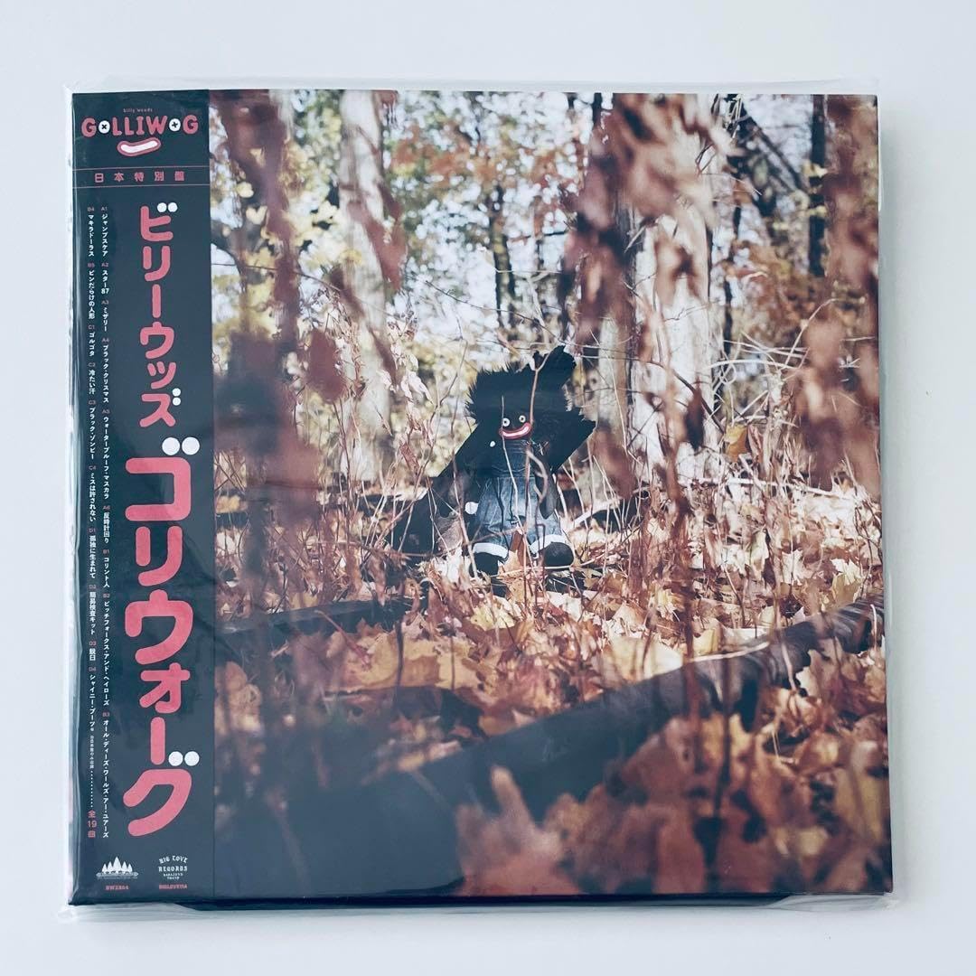 billy woods - GOLLIWOG BIG LOVE RECORDS 洋楽 billy woods