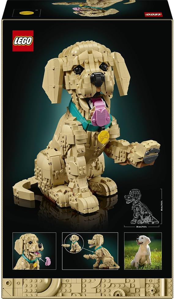 LEGO Icons Yavru Golden Retriever 11384 - Yetişkin Kadınlar ve Erkekler için Renkli Tasma ve Madalyon İçeren Duruşu Ayarlanabilir Dekoratif Model Yapım Seti, Yaratıcı Hediye Fikri (2102 Parça)