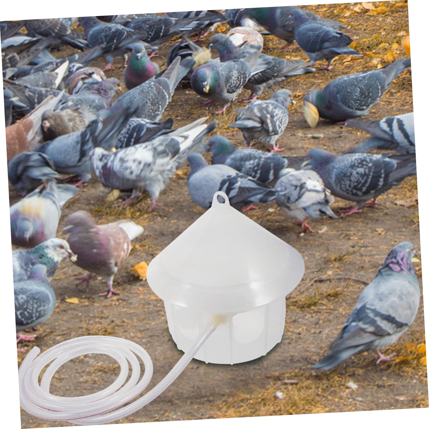 UPKOCH Dispenser per Piccioni Mangiatoia Resistente e Facile da Adatta per Uccelli Domestici Design e Stabile Rifornimento Manuale