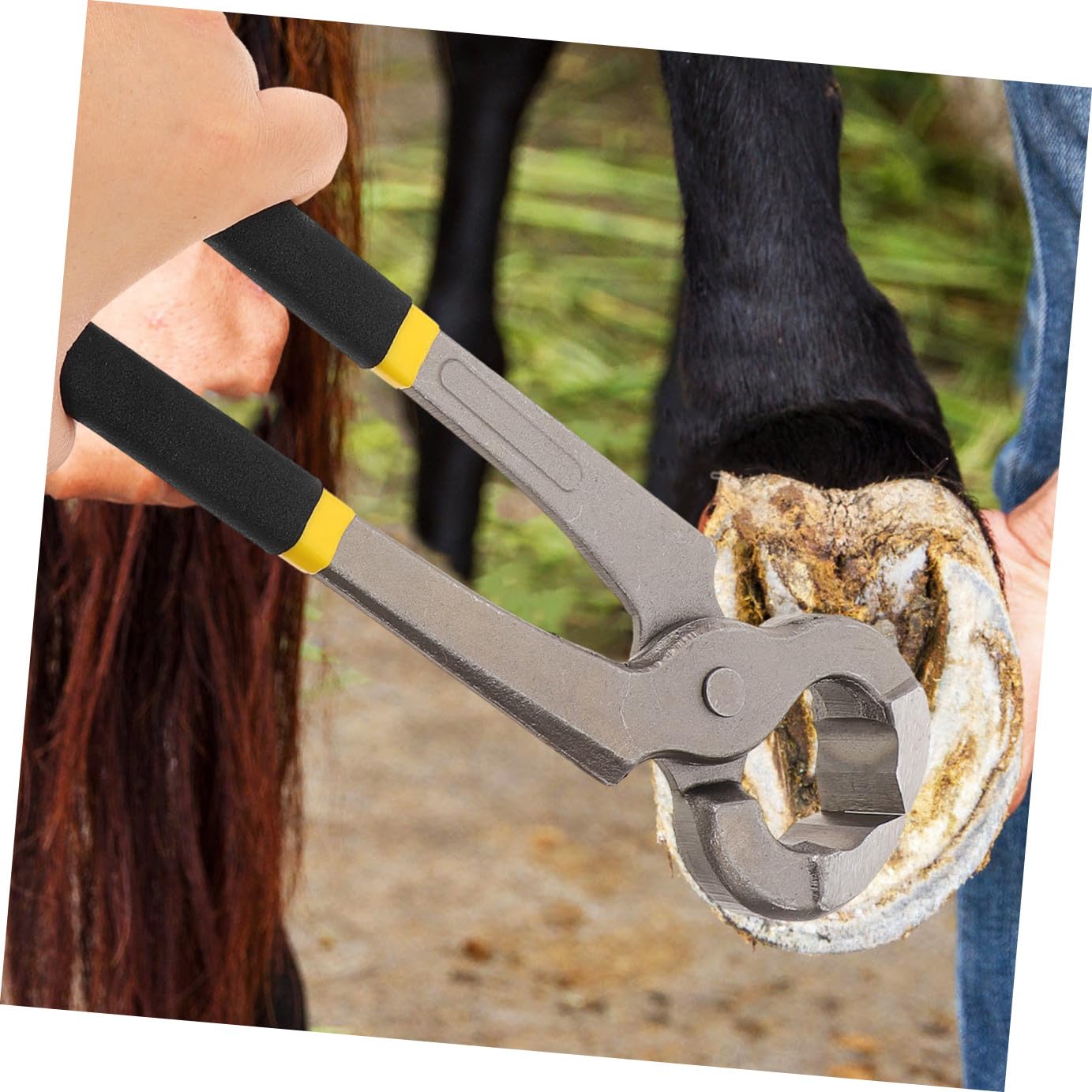 Toyvian Hufzange für Pferde und Schafe, Multifunktional, Tragbar, 30cm