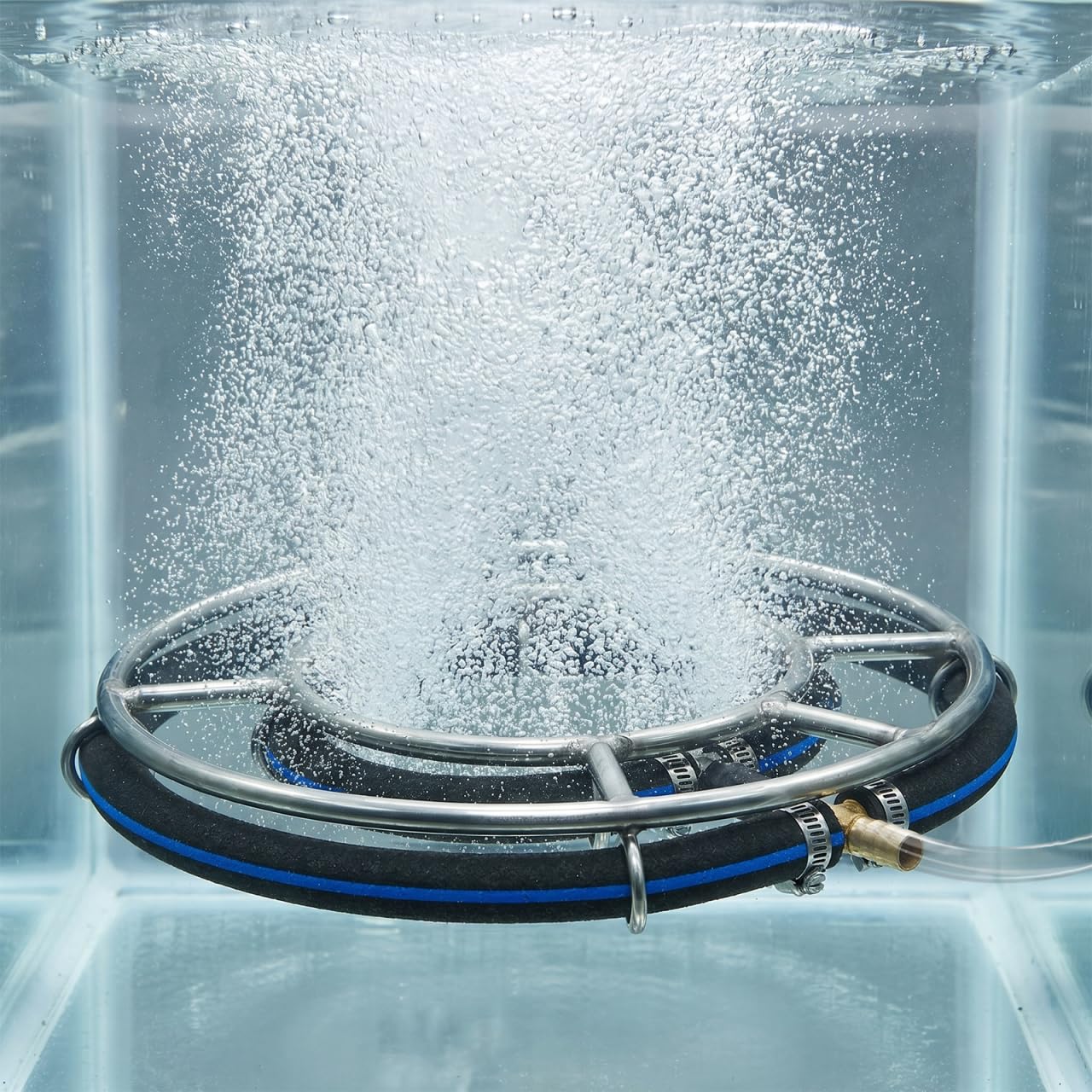 FRCOLOR Diffuseur d'oxygène pour aquarium, pierre à bulles, pompe à air, accessoires en acier inoxydable, double anneau de 25 cm, disque à bulles nano pour aération d'aquarium et d'étang