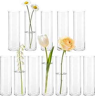 BTSD-home 12 Stück Zylinder Glasvase Set als Kleine Vasen für Tischdeko Vasen Klein Tischdeko Für Hochzeitsdeko Wohnzimmer Deko Party Deko Festtagsgeschenke