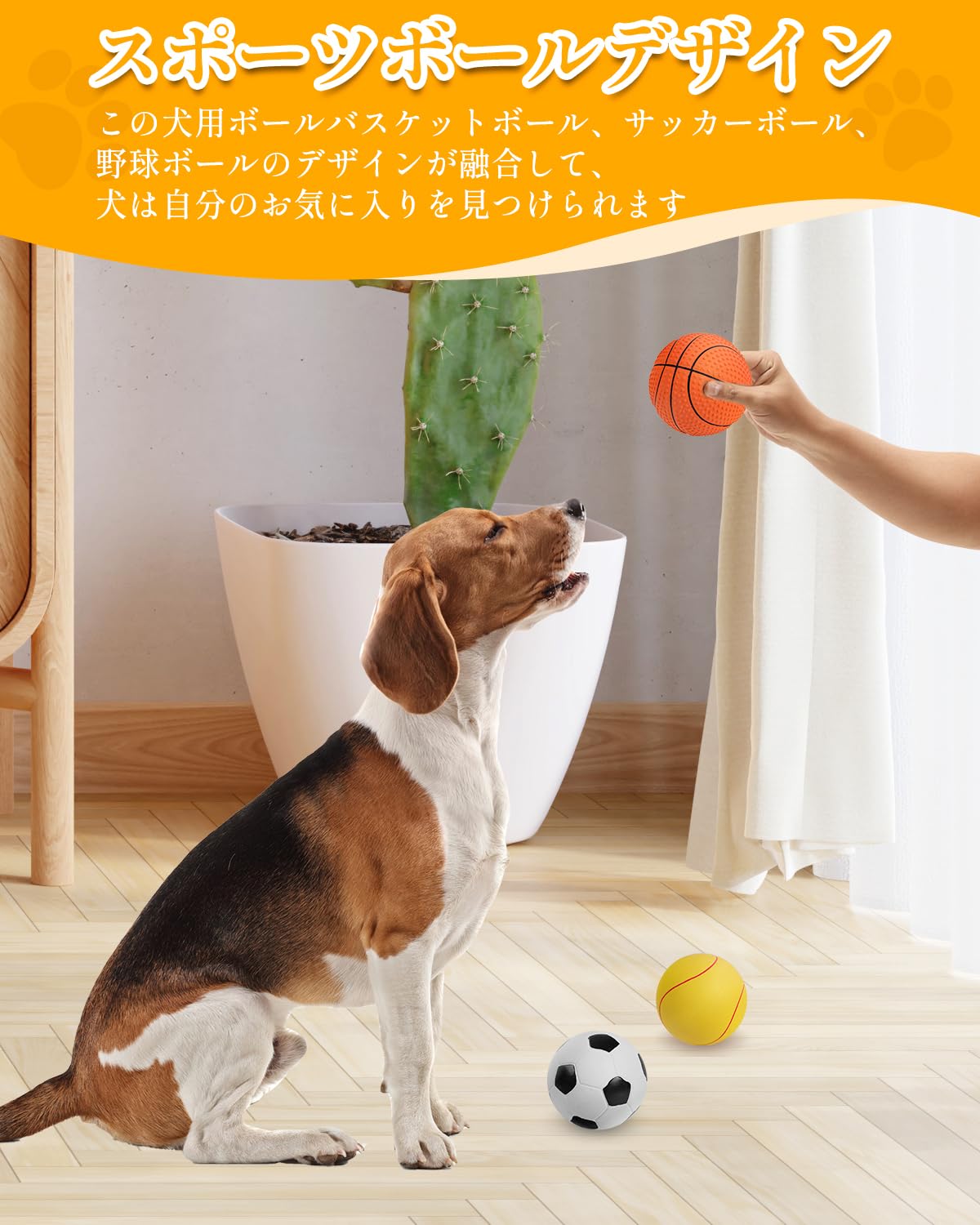 Amazon | KrauzPet 犬 おもちゃ 音が鳴る ボール【ラテックス製