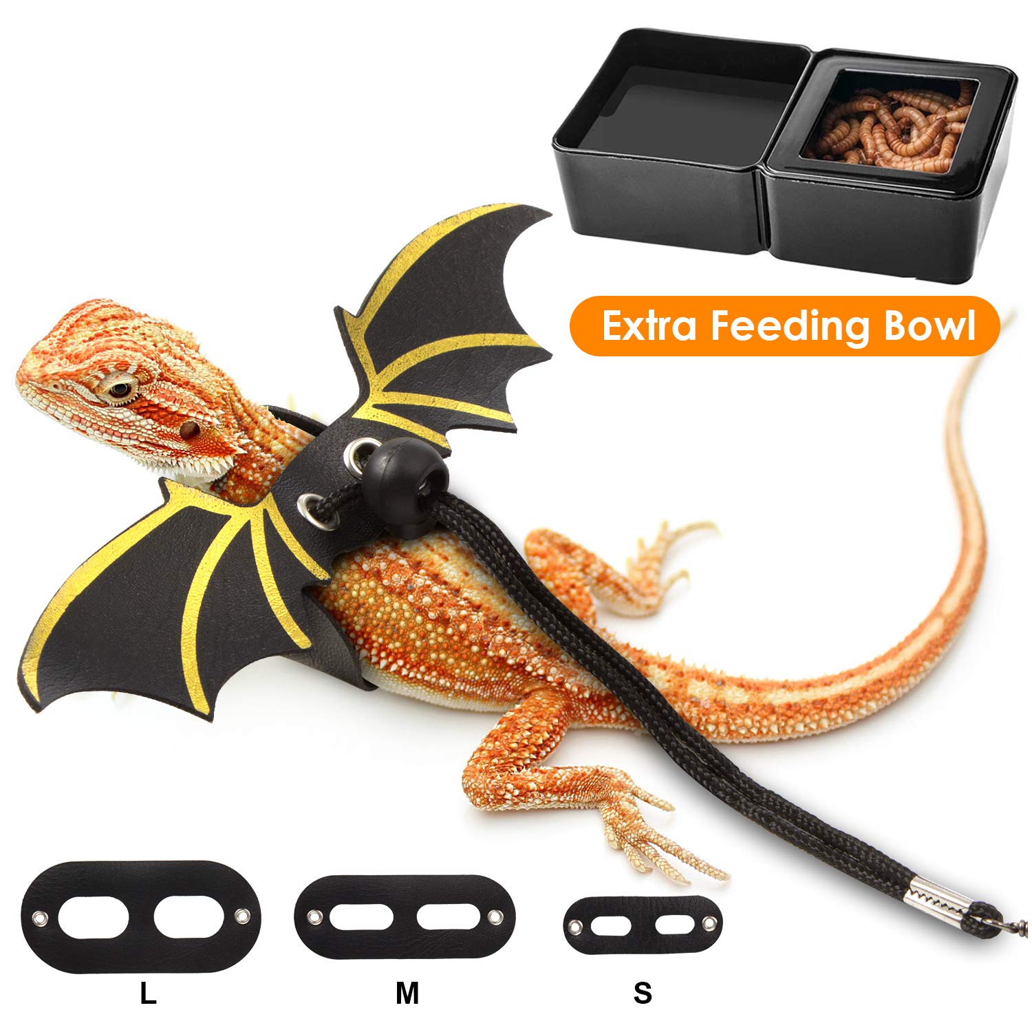lizard leash leopard gecko