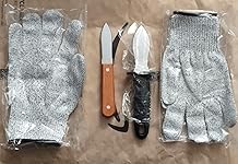 Review Image by Honest E