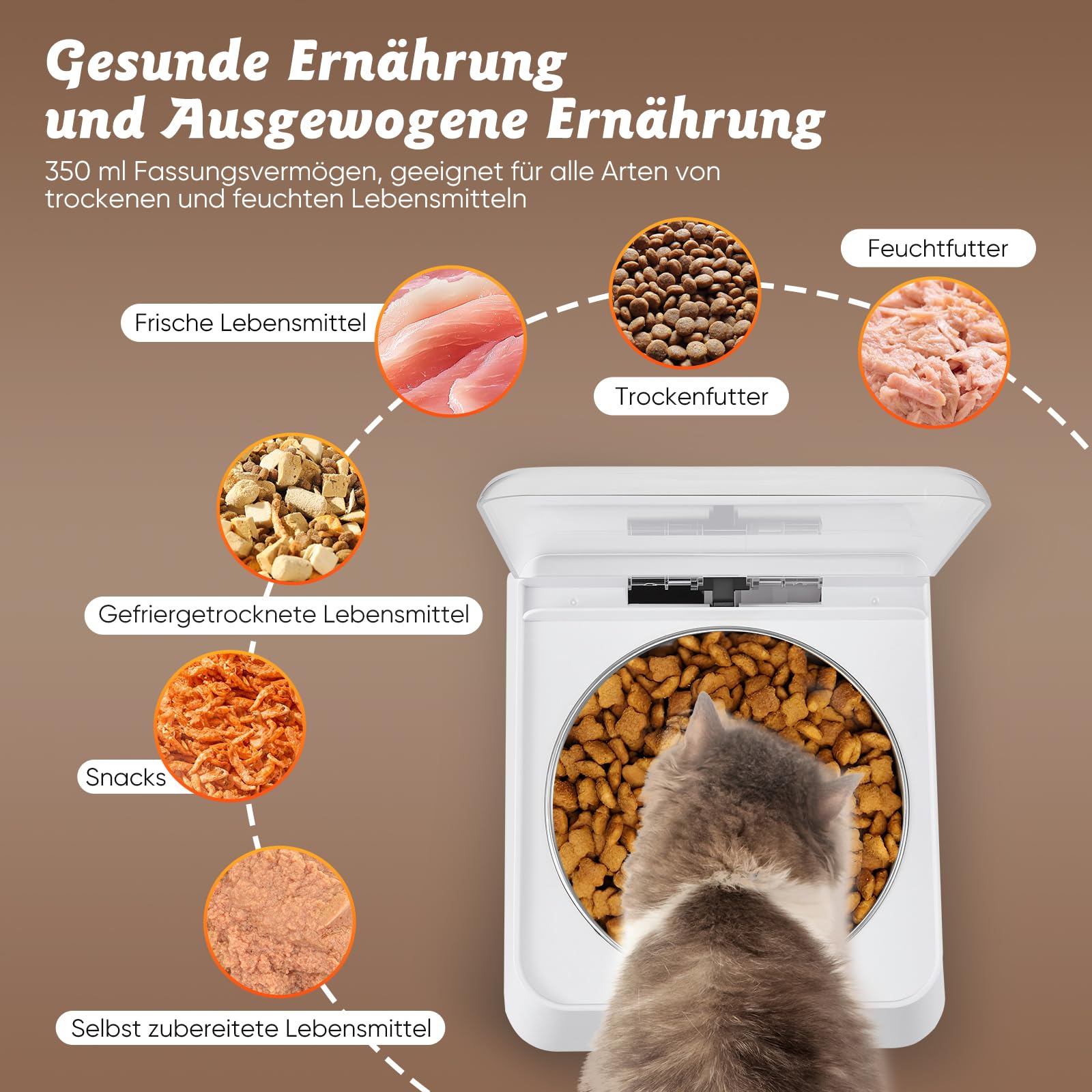 Futterautomat Katze nassfutter mit 350 ml Katzennapf,Nassfutterautomat für Katzen und Hunde Kleine,Automatic cat Feeder für Kurzhaar,Maine Coon,Ragdoll