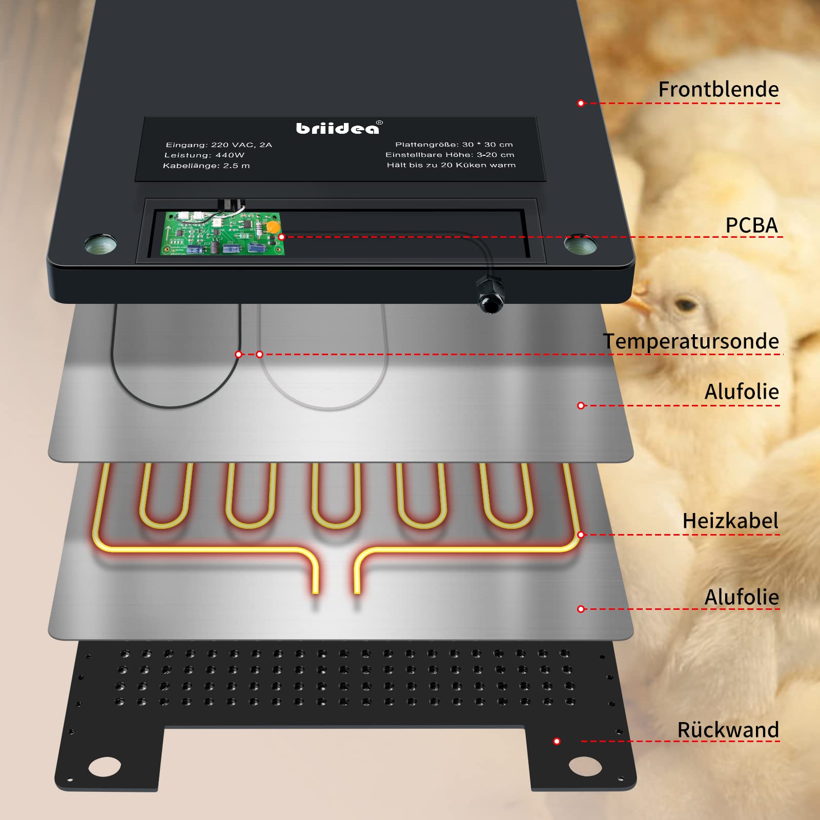 Kükenheizplatte, Briidea 30 x 30 cm Küken Wärmeplatte mit verstellbare Höhe, für bis zu 20 Küken, effiziente Wärmeplatte für optimale Temperaturkontrolle