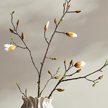 Napa Home & Garden, Magnolia Budding Branch