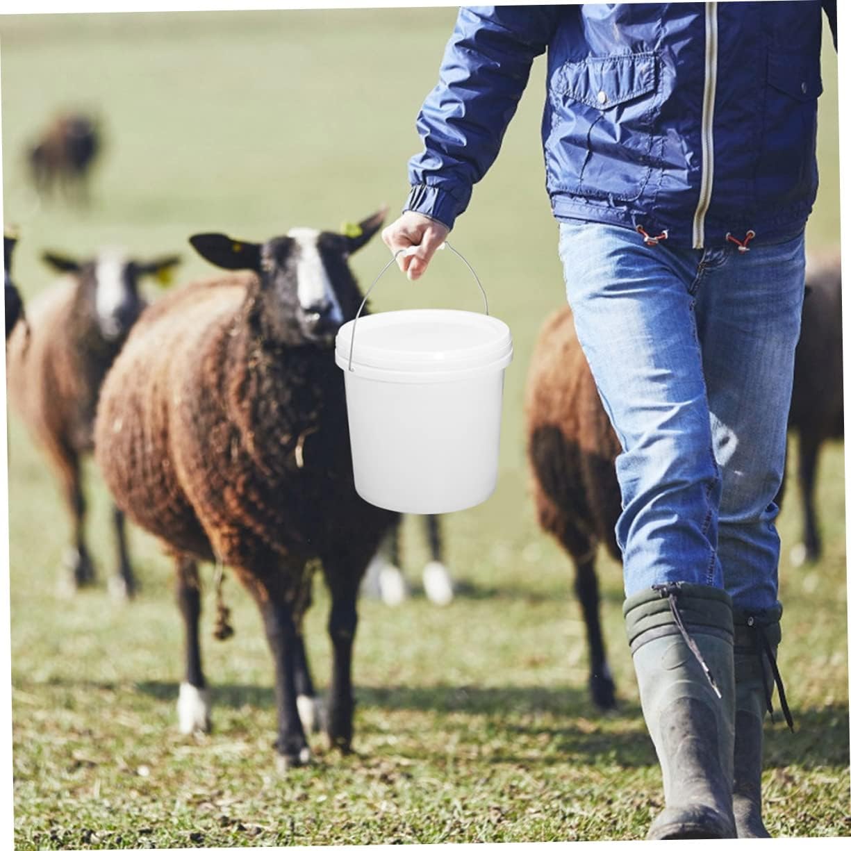 Plastic Barrel Container with Lid Small Paint Bucket 1.5 Gallon Bucket White Food Grade