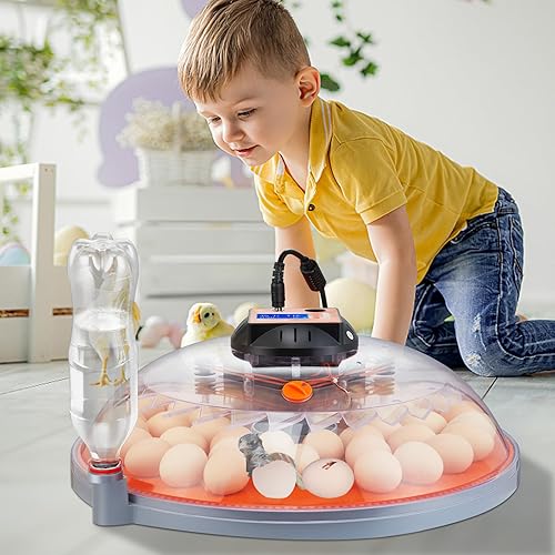 Miniatura 8 de VEVOR 48 incubadoras para incubación, girador automático de huevos de 360 con pantalla de temperatura y humedad, criador de aves de corral con
