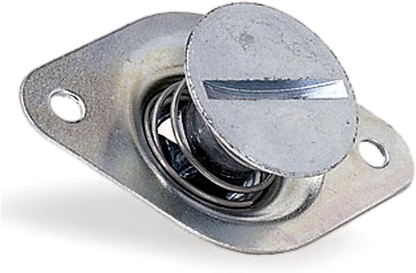 Moroso 71370 Fasteners - Set of 10