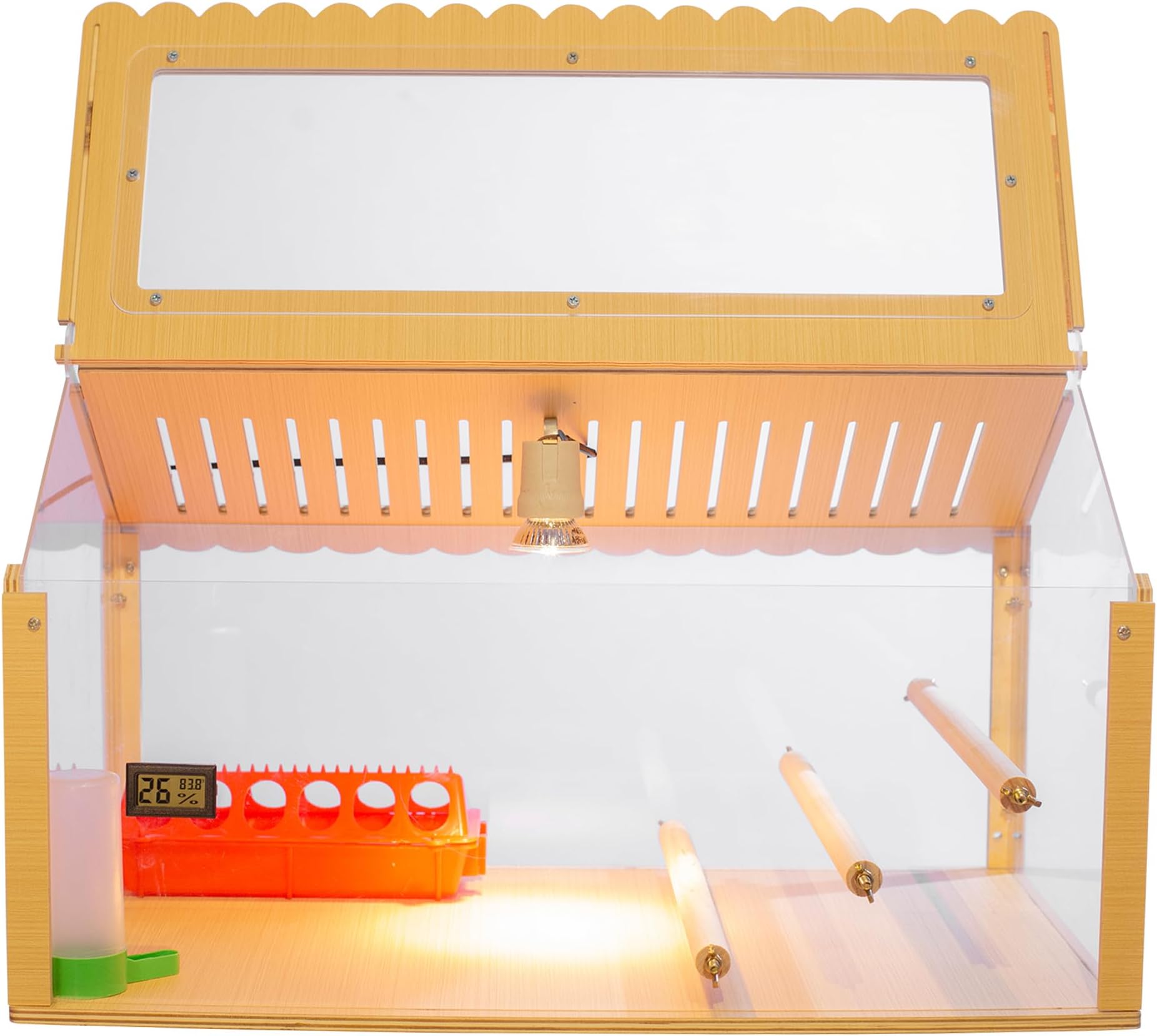 Amazon.com : Intelligent Brooder Box Suit 30-40 Newborns Chicks Quail ...