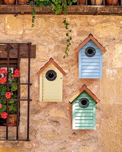 Miniatura 7 de Bluebird Casas para Pájaros para Exteriores en Liquidación  Juego de 3 Cajas Nido con Protector contra Depredadores de Acero Inoxidable  Techo de