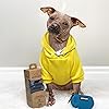 Product Photo 5