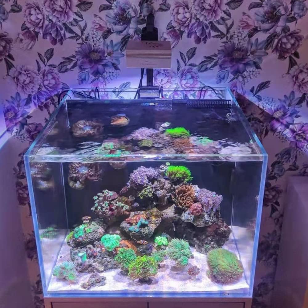 PopBloom-RL90 WiFi luz Led para Acuario Marino, Pantalla led Acuario Coral, Reef iluminacion Acuario para 40cm-60cm SPS/lps pecera Acuario