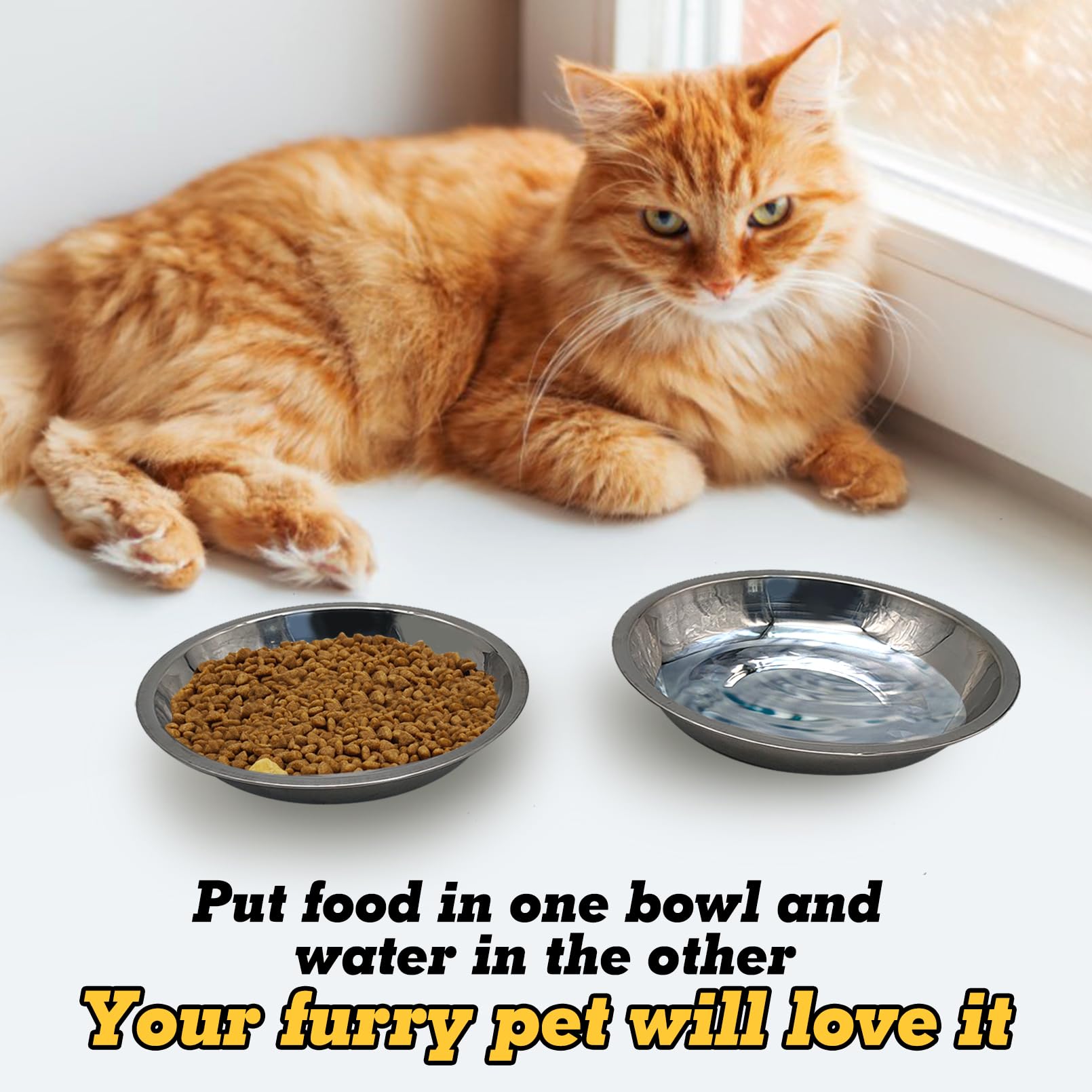 Hamiledyi 12 ciotole per gatti in acciaio inox, poco profonde, piatti per animali domestici, piatti grandi per l'alimentazione del gatto, per cani, gatti e altri piccoli animali (diametro 21 cm)