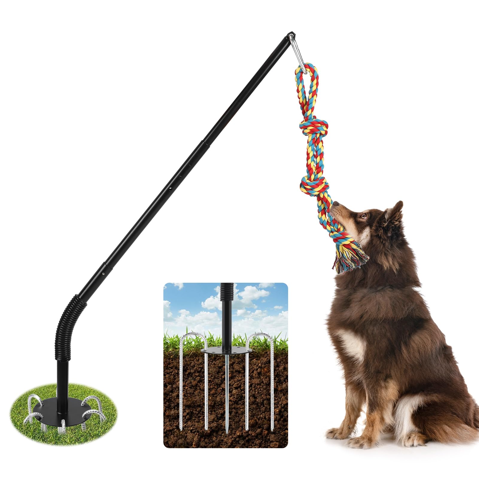 Jouet d'extérieur pour chien avec corde pour stopper l'ennui et les destructions