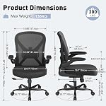 Ergonomic Office Chair with Adjustable Lumbar Support, Mesh Home Office Desk Chair with Flip-up Arms and Wheels, Black