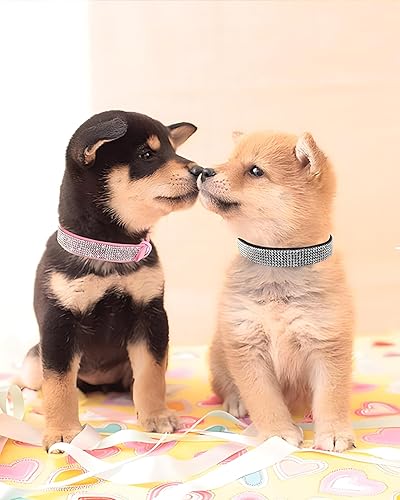 Vista 6 de Hotlion Collar de perro con diamantes de imitación con lazo para cachorros, gatitos y gatos con diamantes de cristal brillante para perros pequeños