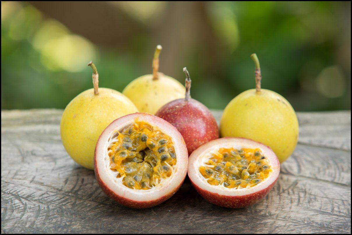See full amazon price history chart for Creative Farmer Frui Ty Seeds Exotic Fruit Seeds - Mixed Passion Fruit Seeds Purple And Yellow Fruit Seeds For Home Garden Organic Fruit Seeds Kitchen Garden Pack Creative Farmer Frui Ty Seeds Exotic Fruit Seeds - Mixed Passion Fruit Seeds Purple And Yellow Fruit Seeds For Home Garden Organic Fruit Seeds Kitchen Garden Pack (B075PW4YN9) Amazon Price History, Amazon Price Tracker