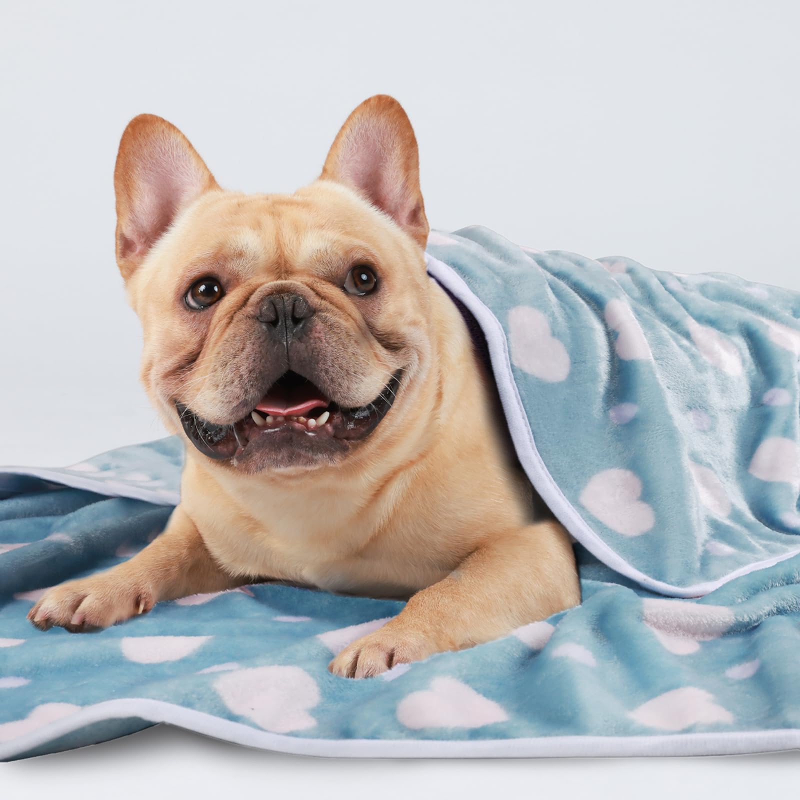 luciphia 3 Pezzi Coperta per Cane/Gatto Lavabile Soffice Durevole, Morbida e Calda Flanella,Punto d'amore,Small (60 * 40cm)