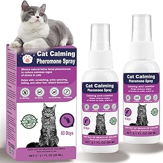 Image showcasing How Cats Can Help Reduce Anxiety And Stress | PetShun