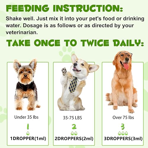 Miniatura 6 de Probióticos 3 en 1 para perros con enzimas digestivas y prebióticos  Apoya la salud intestinal, el sistema inmunológico y el alivio de la diarrea