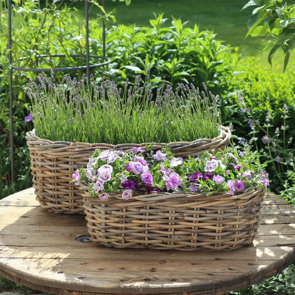 Rattan Pflanzkorb 'Basket' In Grau – Ovale Pflanzschale Ca. 43x17x15 Cm (mit Folie)