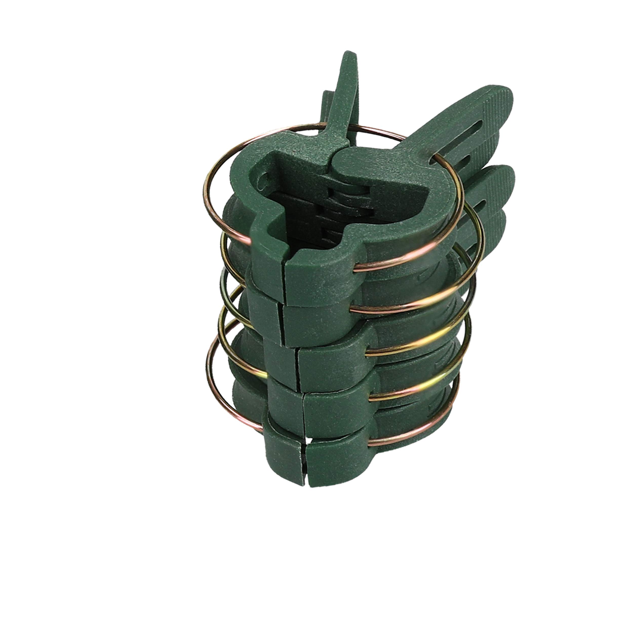 100 pezzi clip riutilizzabili per piante e orchidee on