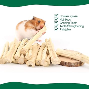 BWOGUE 100g Pet Snacks, Bamboo Chews for Rabbits, Sweet Bamboo Chew Sticks