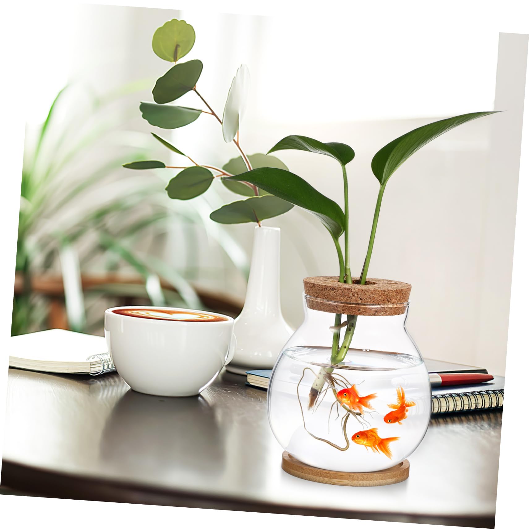 Terrarium En Verre Avec Bouchon Liège Et LED – Mini Jardin Hydroponique, Décoration Bureau, Aquarium Betta - 11