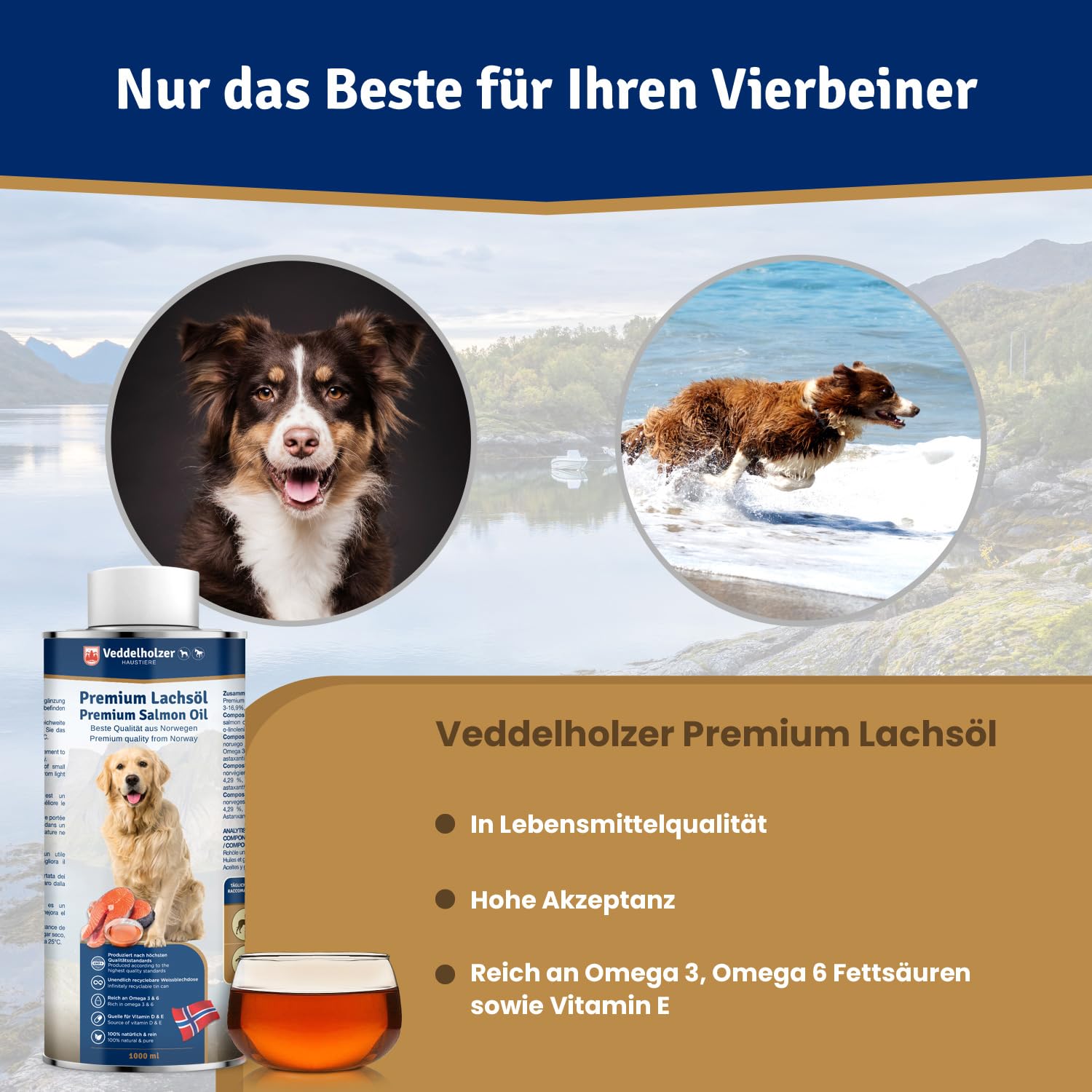 Veddelholzer Lachsöl für Hunde 1 Liter in recycelbarer Weißblechdose Ideale Hochwertige Nahrungsergänzung Mit Omega3 Fettsäuren & Vitamin E Nachhaltiges Fischöl für Hund Pferd & Umwelt