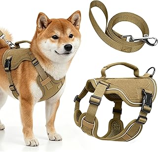 Hundegeschirr, Hunde Geschirr Kleine Hunde, Anti Zug Hundegeschirr, Reflektierend Verstellbar Geschirr, Hundegeschirr Mit Front Clip Für Nachtspaziergänge Und Autoreisen, XS Größe Für 10-25 Pfund