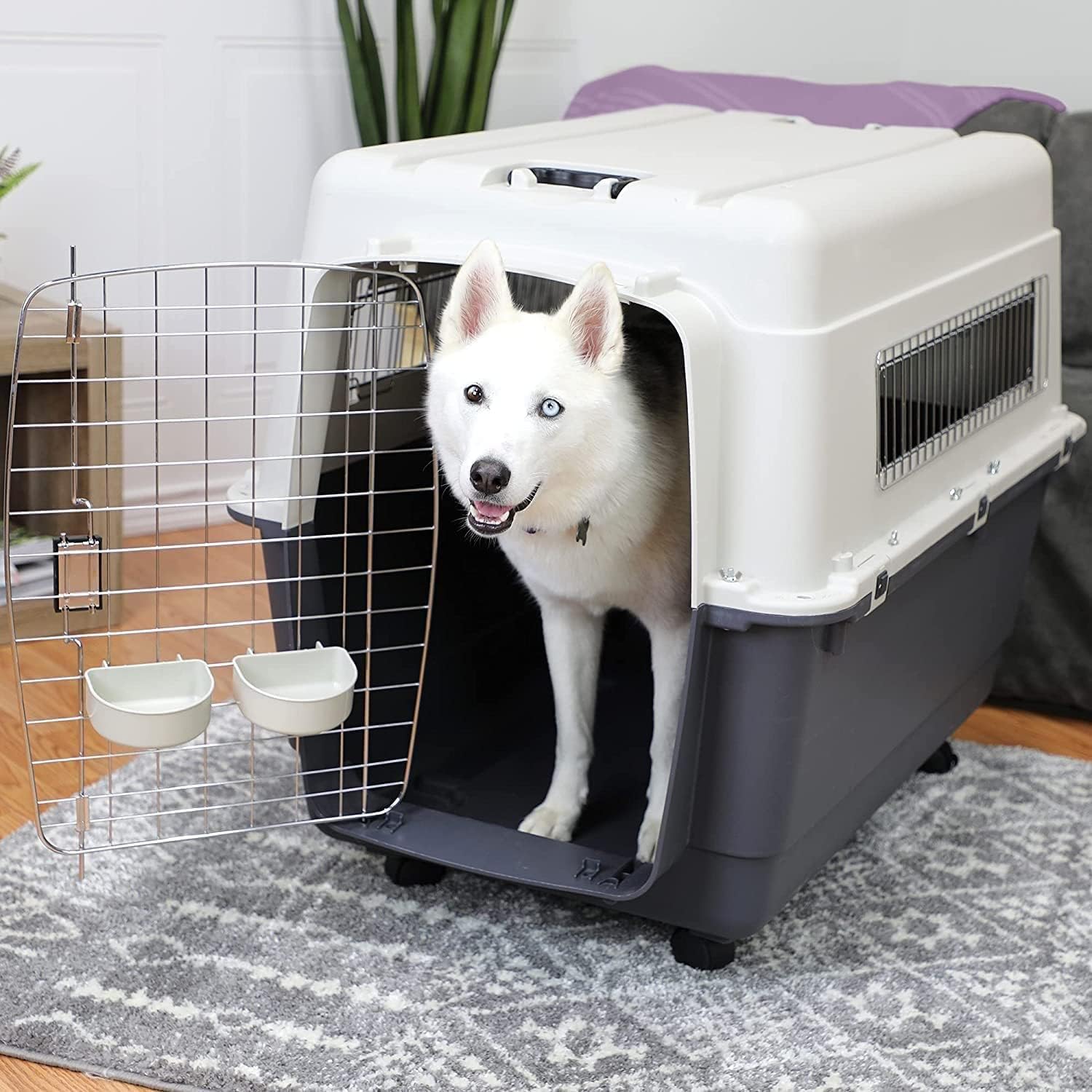 Pet Believe Lata Approved Plastic Paws for A Cause Fight Cage with Wheels (Black, 20-inch) (B08911R93S) Amazon Price History, Amazon Price Tracker
