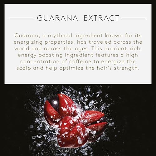 Miniatura 3 de René Furterer FORTICEA Champú Energizante - Energize Scalp - Extracto de guaraná y aceites esenciales - Sin sulfato, parabenos ni silicona