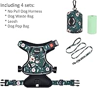 Vista 105 de Petmolico - Juego de arnés para perro sin tirones, 2 correas de sujeción con asa de fácil control, chaleco reflectante para razas pequeñas, arnés