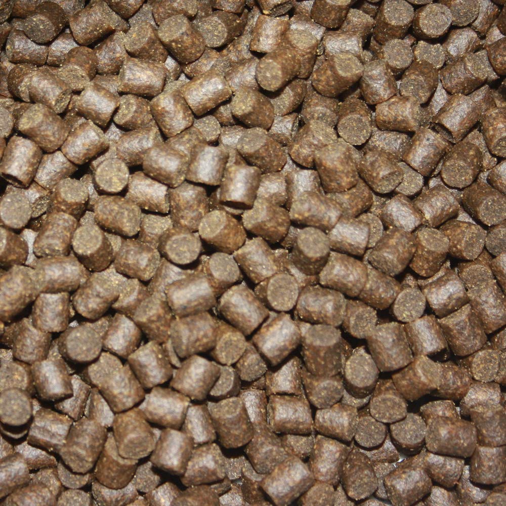 Koifutter Sinkfutter Koi Winterfutter sinkende Pellets kräfteschonend Energiefutter für Fische mit arktischem Fischmehl Fischöl hochverdaulich 5mm 15kg