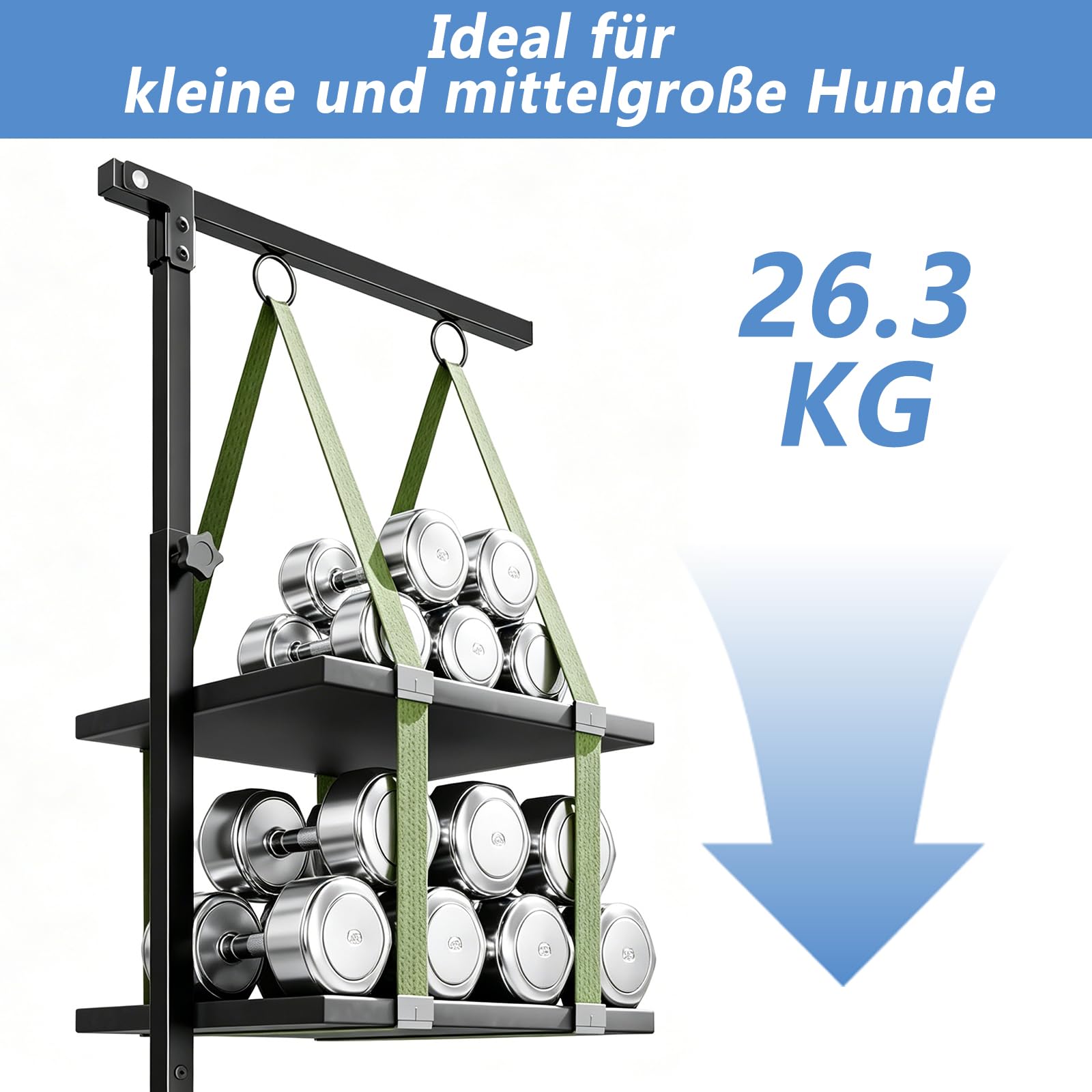W&H Brazo plegable para aseo de perros con abrazadera de mesa, altura ajustable | 66 – 102 cm, accesorio de peluquería para perros con hamaca y correa antiasiento, para aseo, baño y tijeras
