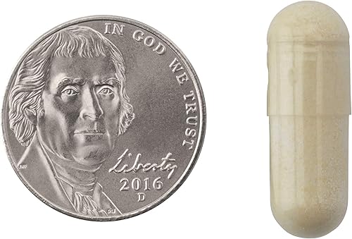 Miniatura 5 de Natrol Intercept de carbohidratos con cápsulas de control de carbohidratos de fase 2, extracto de frijol blanco, ayuda a controlar los