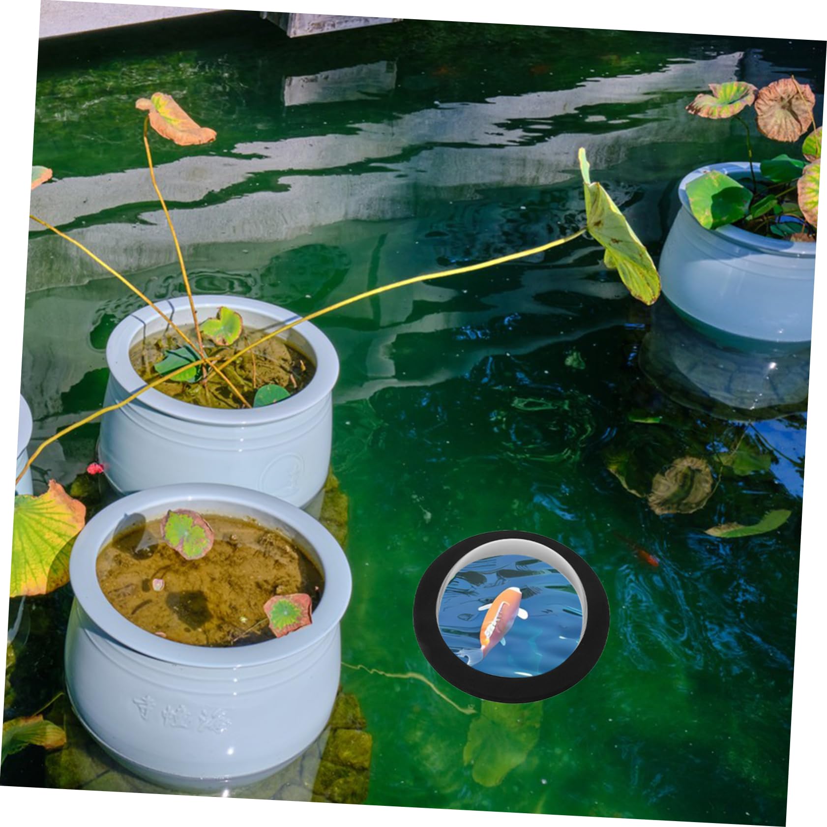 Happyyami 2pezzi Dome Galleggiante Per Pesci Acrilico Trasparente Con Base Nera Accessorio Per e Laghetti Pratico Per Decorazione e Protezione Delle Piante Acquatiche