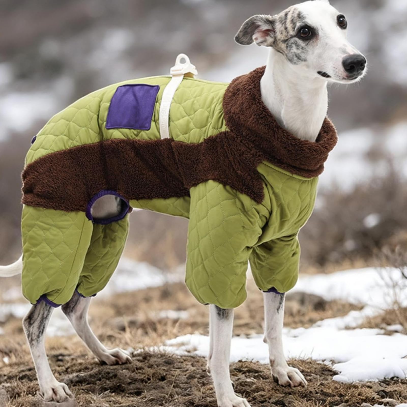Manteau pour Chien Chaleureux, 2XL, Bleu, Bleu